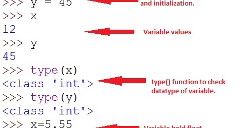 How to declare variable and assign the value in python? - Python Educator