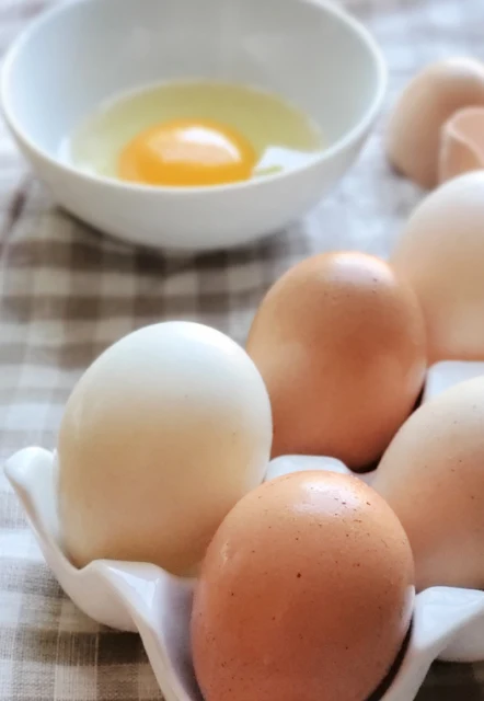 eggs in ceramic egg tray