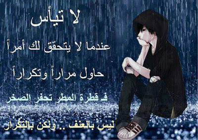20858hlmjo