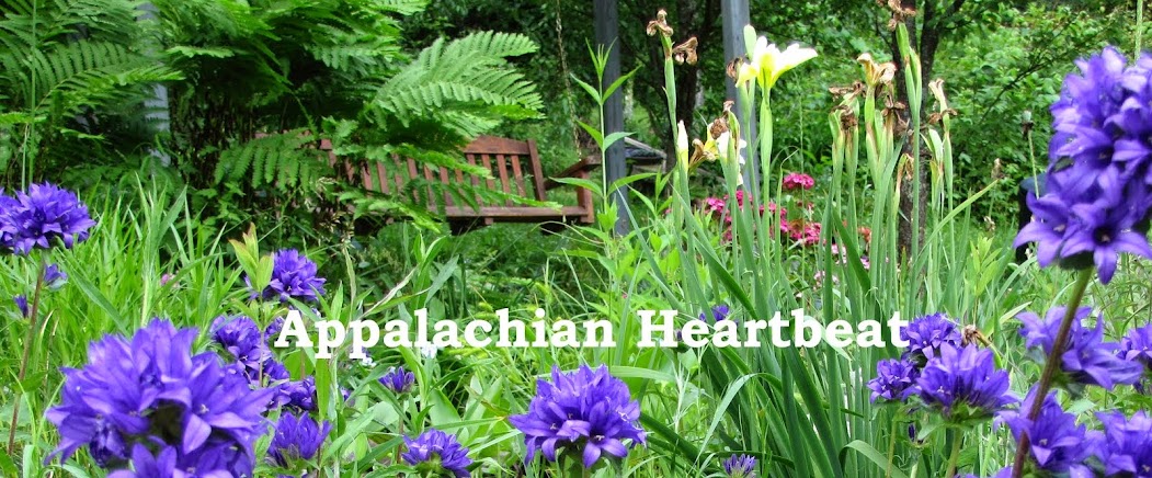 Appalachian Heartbeat