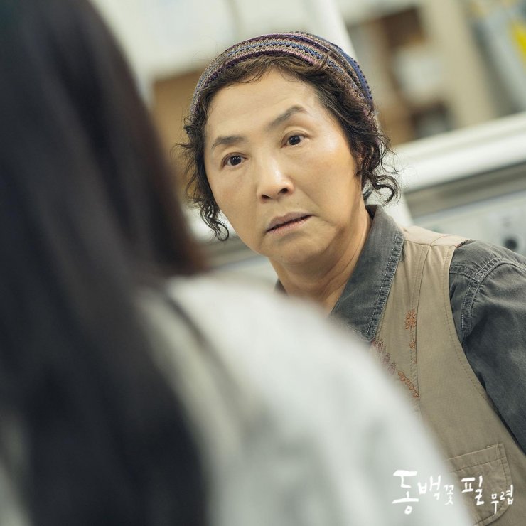 Review & Sinopsis When The Camellia Blooms Ibu Segala Tau Cinta