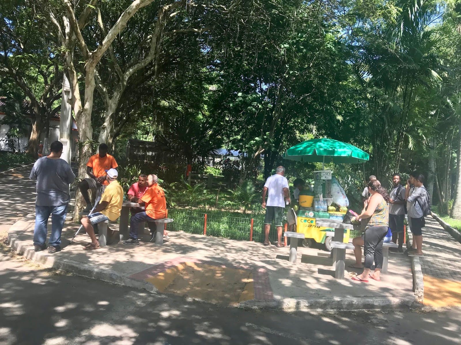 Horto Botânico de Niterói ou Jardim Botânico de Niterói ou ainda, Horto do Fonseca Áreas Horto Botânico de Niterói ou Jardim Botânico de Niterói ou ainda, Horto do Fonseca Áreas