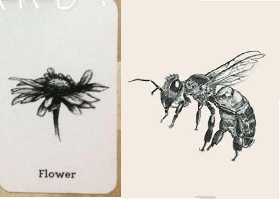 tie-mediumBộ sưu tập download tải ảnh animal 4D cards free mới nhất