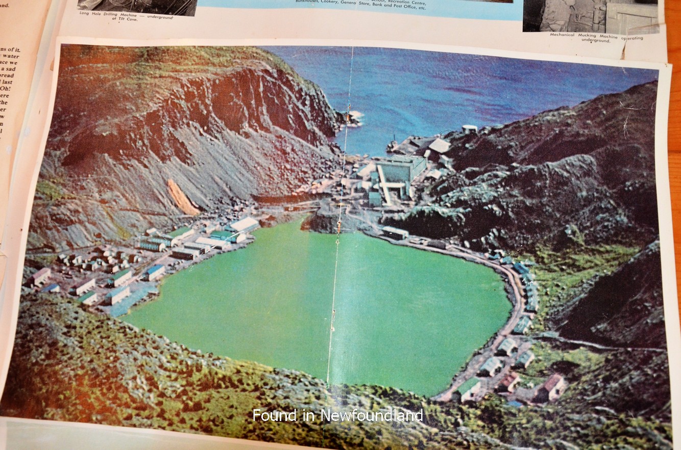 Found in Newfoundland