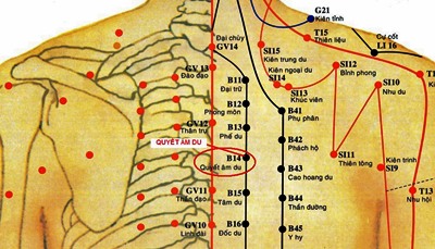 Vị trí huyệt quyết âm du