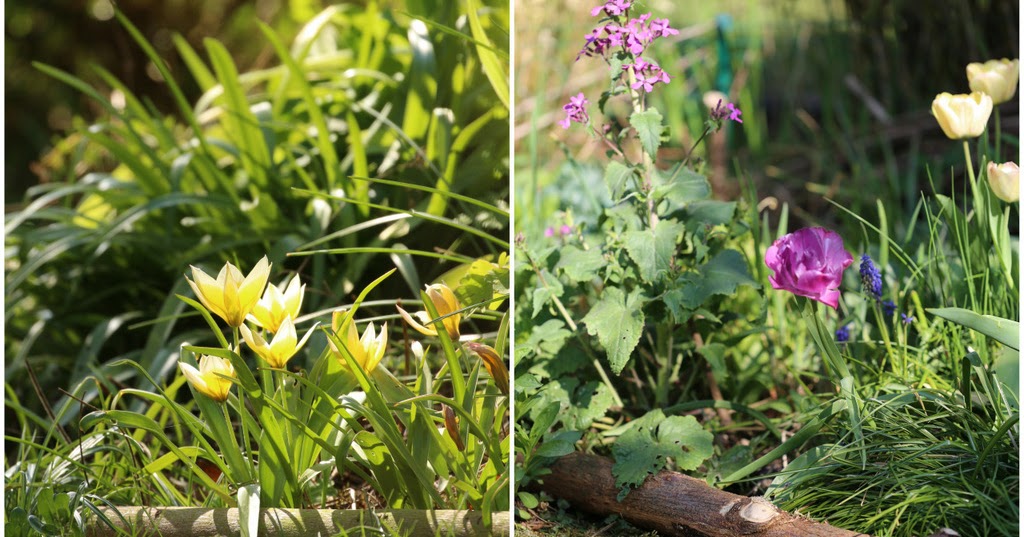 White And Shabby Oktober 2013