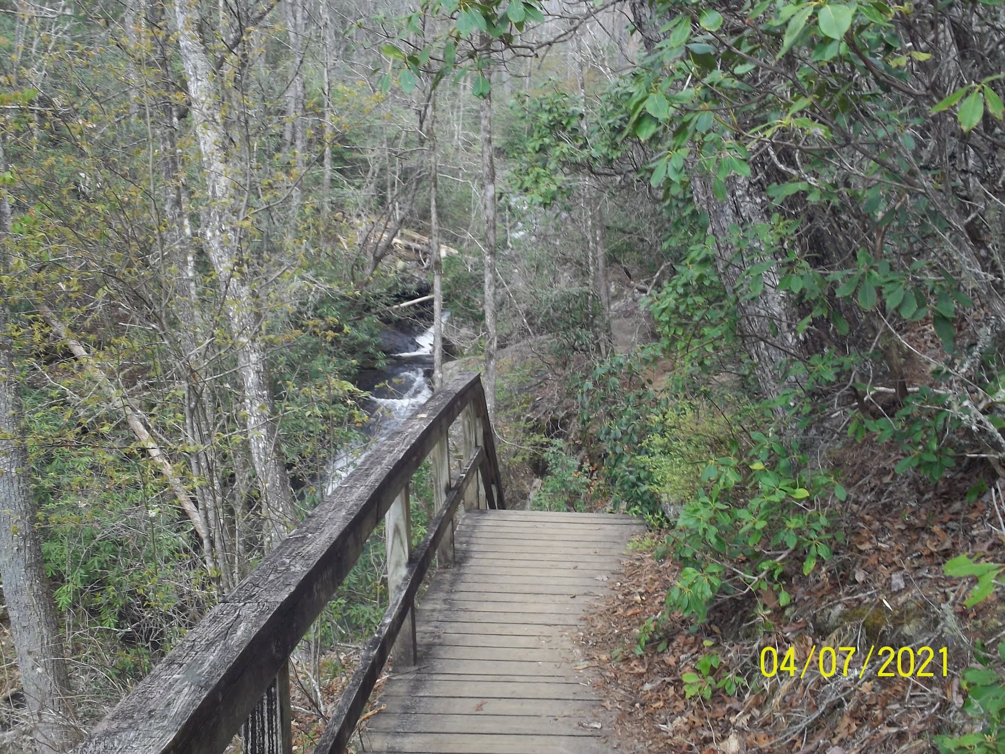 Appalachian Trail Adventures 2021 Fires Cr. Recreation Area Rim