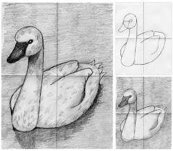 drawing swan shaded drawings projects shading pencil step project background grade draw shade swans shadow dark water animal stand another