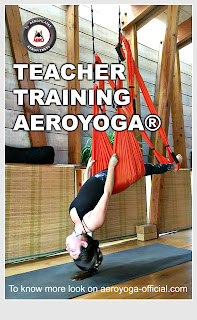aeroyoga, yoga aerien, air yoga, aerial yoga, aeropilates, pilates aerien, aerial pilates, pilates, ypoga, fitness, mise en forme, rafael martinez, cours, stage, formation professionnelle, sante, bienetre