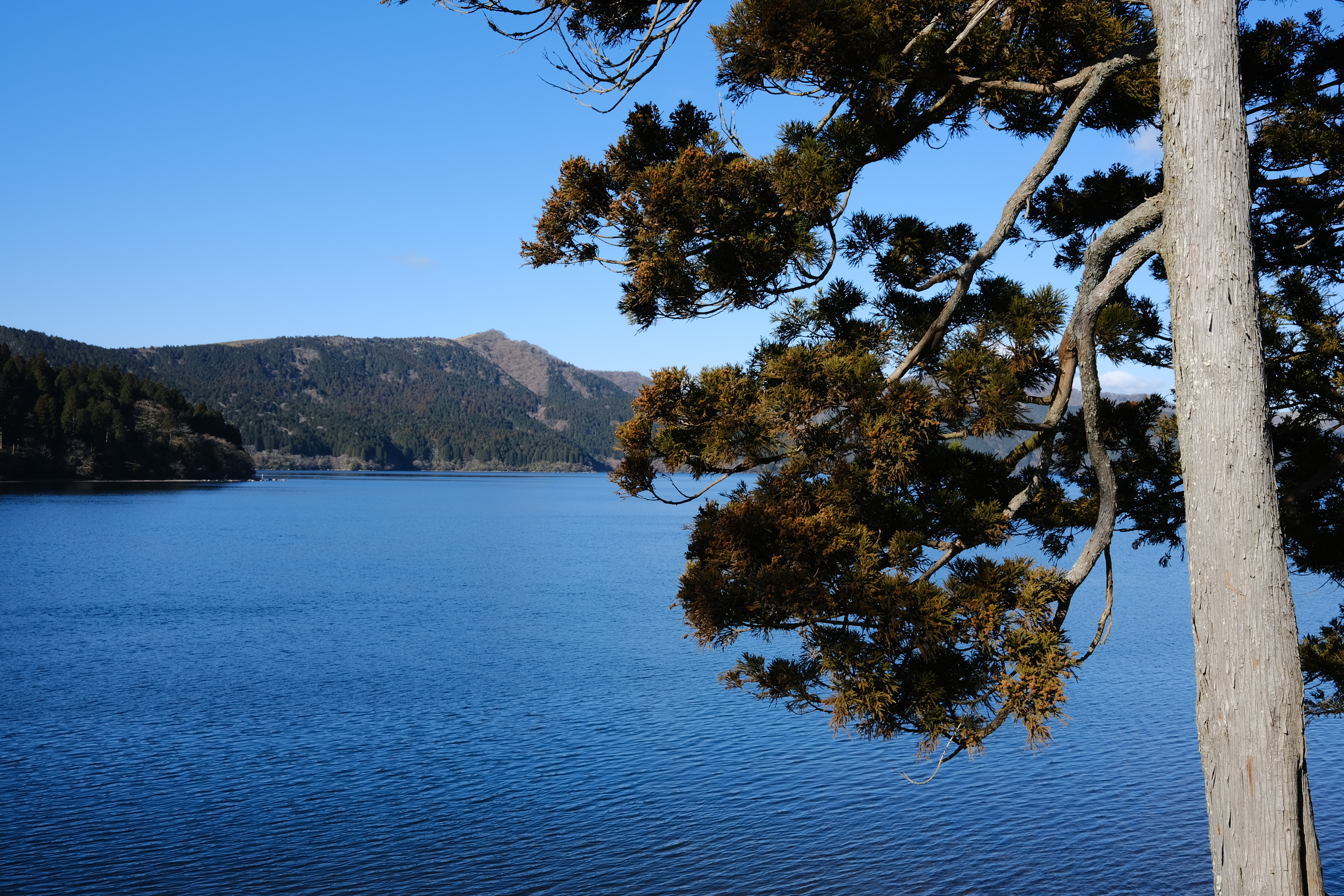 DSCF1368.JPG