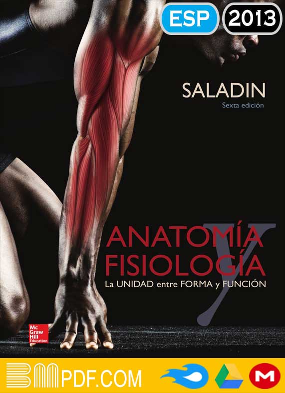 Saladin Anatomía Fisiología 6ta edición PDF