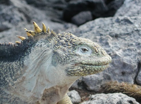 50 Lugares turísticos de Ecuador