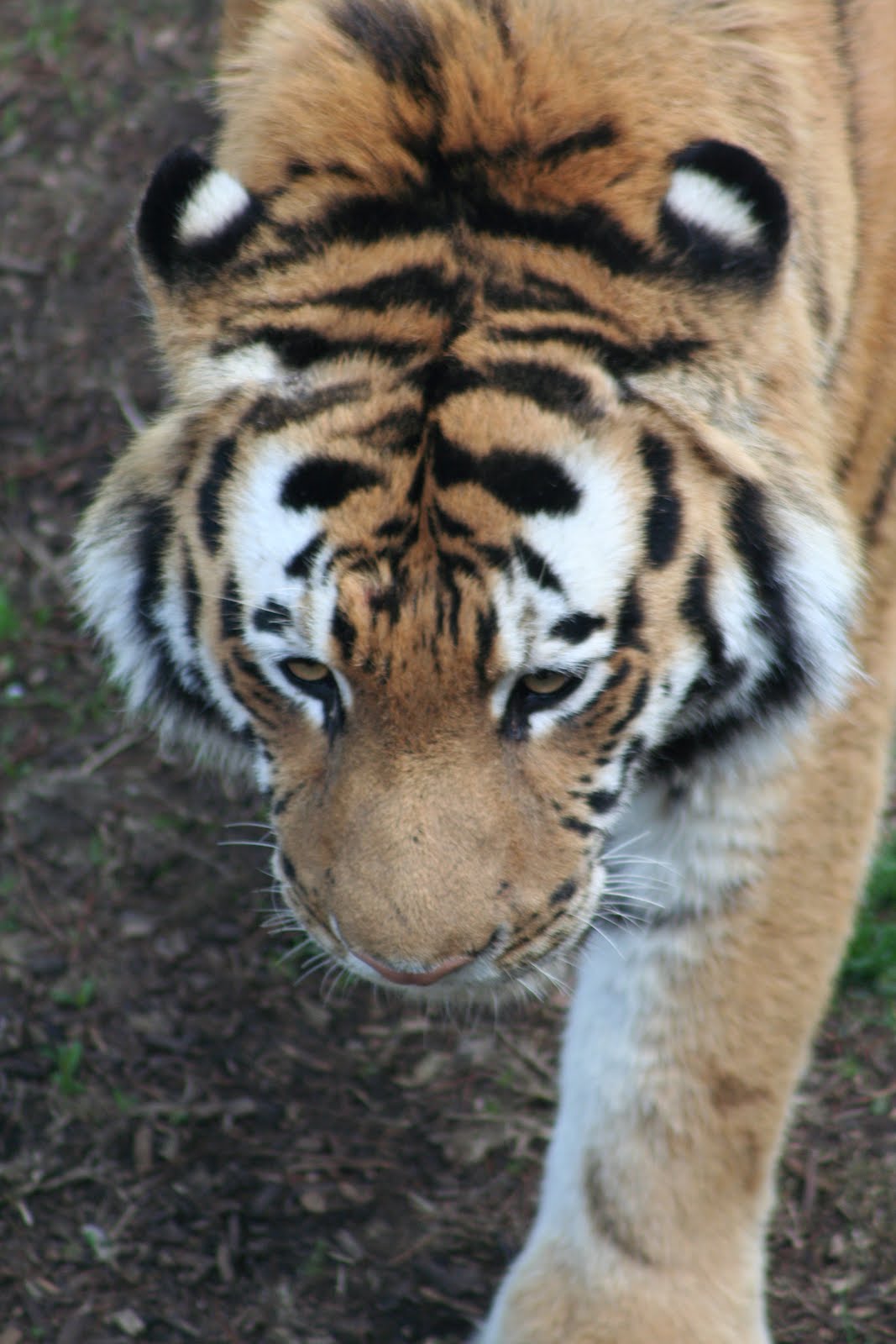 Remembering The Moments remembering-the-moments