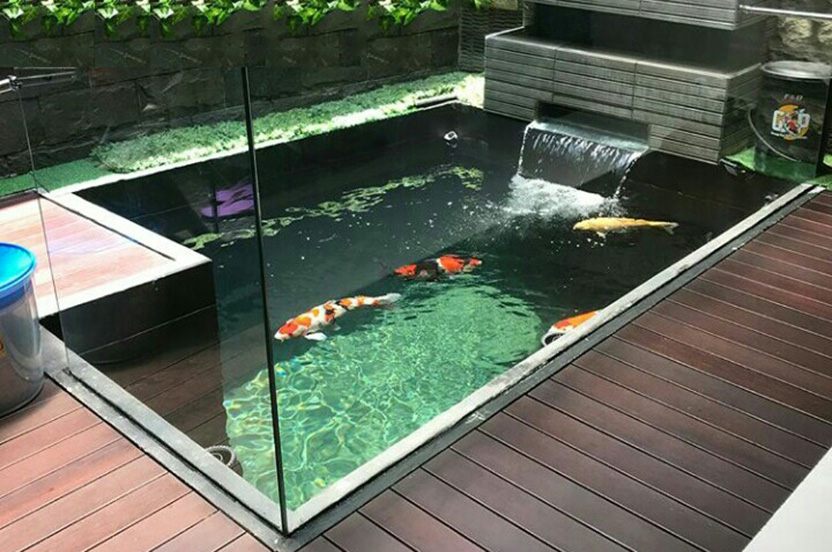 40 Contoh Desain Kolam Ikan Minimalis Depan Rumah TUKANG TAMAN SURABAYA