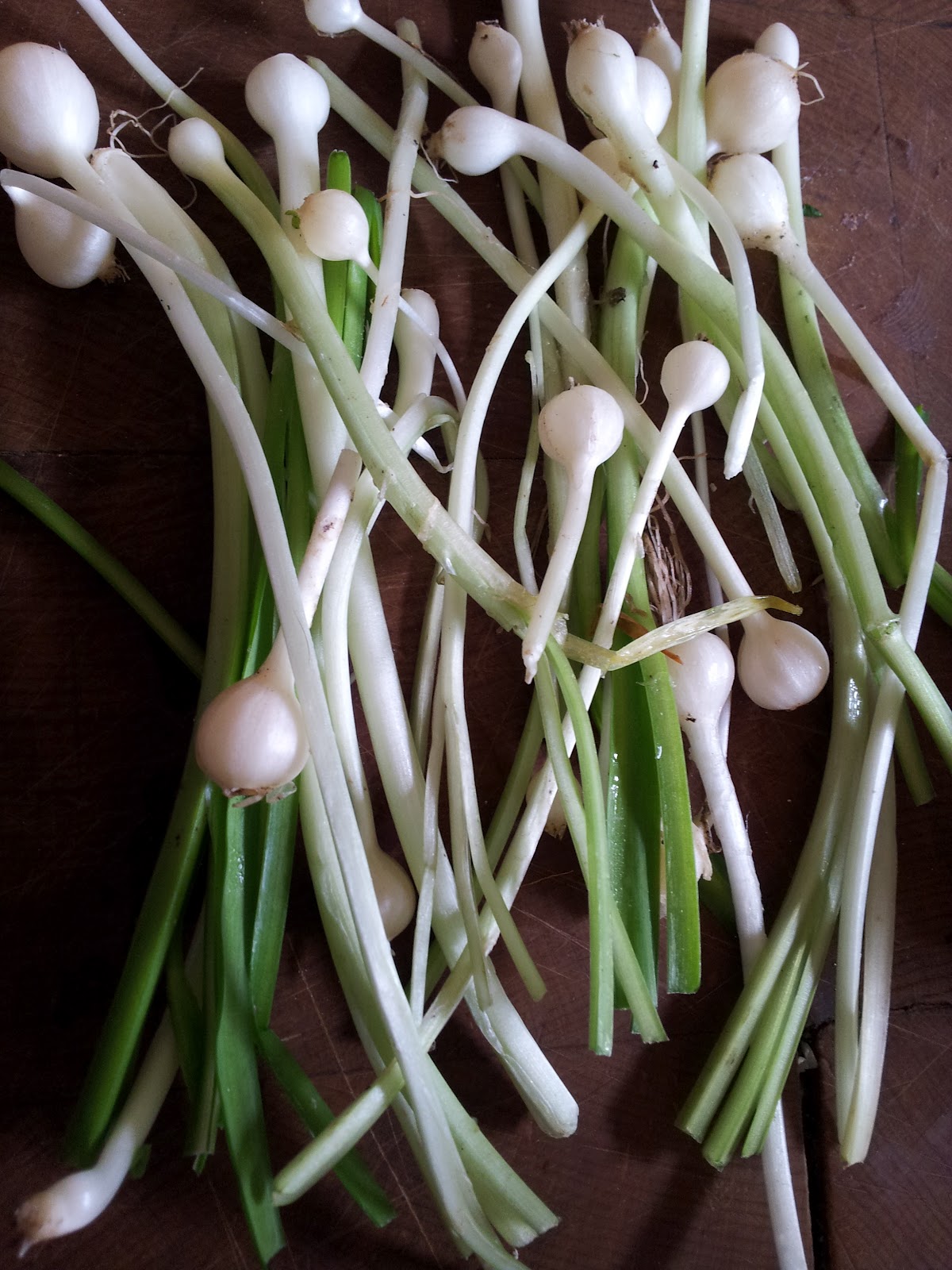 Jeannie's Kitchen Onion Weed just as good as spring onions