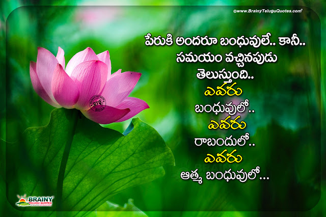 telugu quotes, best relationship words in telugu, motivational words on relation, realistic relationship quotes