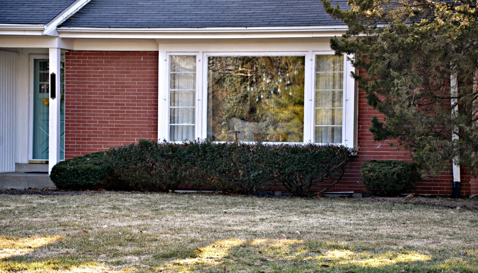 Serendipity Refined Blog: Landscape Demolition Sunday