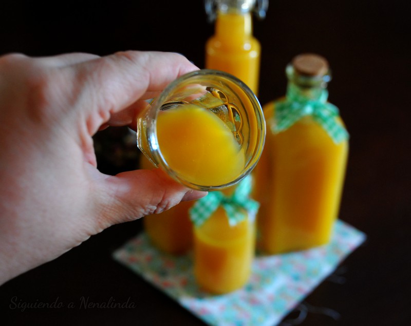 Siguiendo a Nenalinda Vinagre de Mango {Con y sin Thermomix paso a