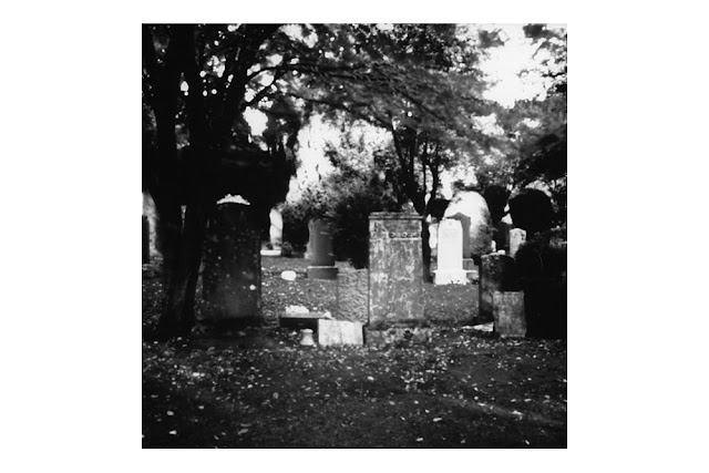 Showing pinhole camera image. Graveyard. 12 minute exposure.