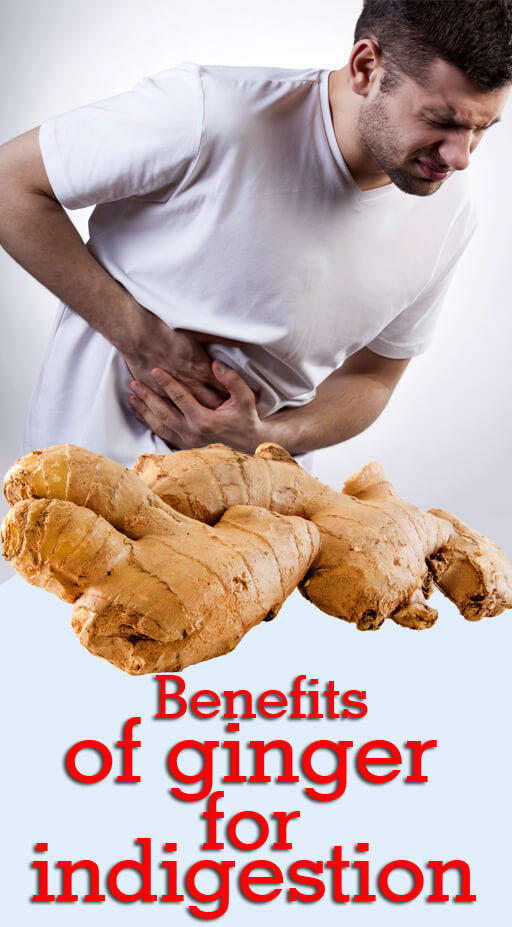 6 Benefits of ginger for indigestion herbal medicine