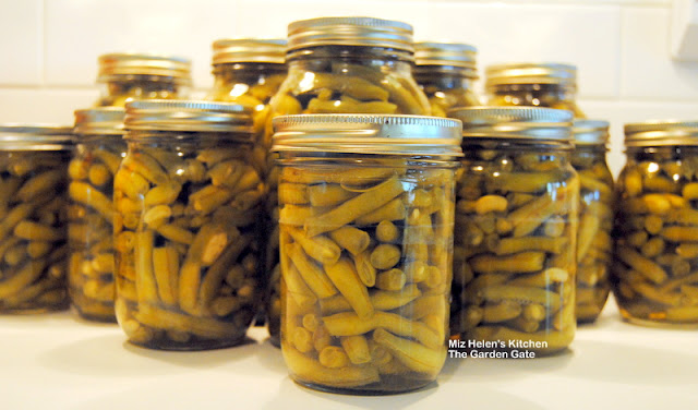 Canning Green Beans: From Garden To Canner at Miz Helen's Country Cottage