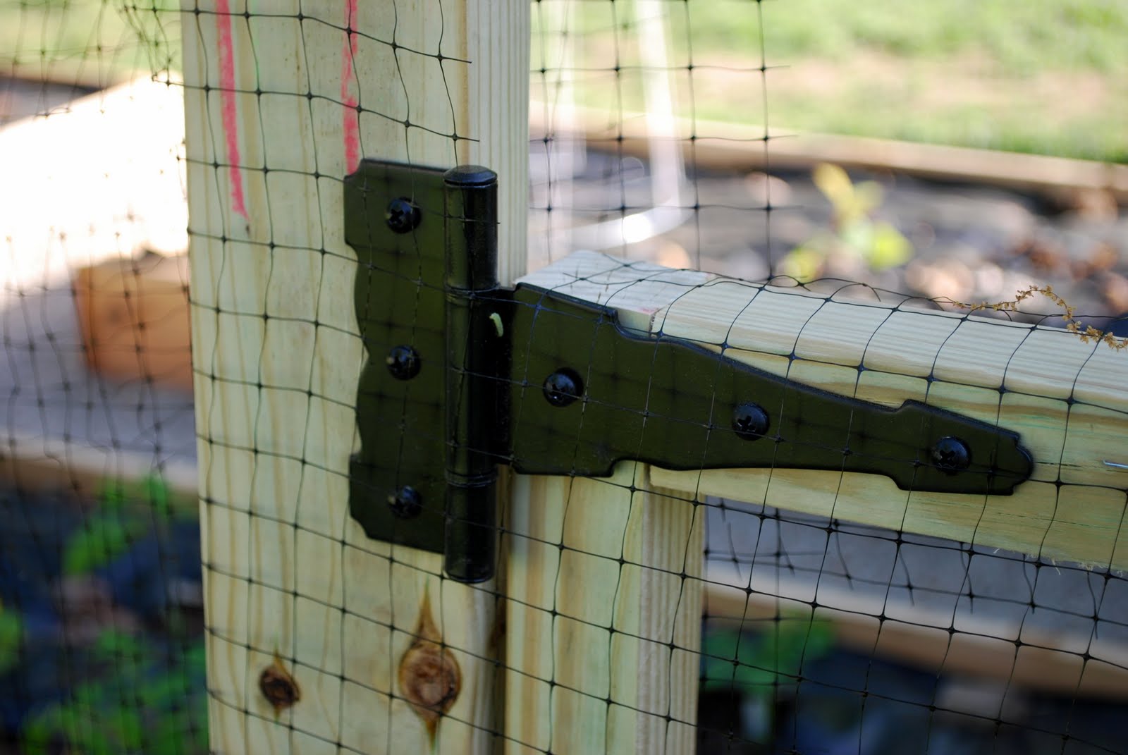 How To Build A Simple Gate With Chicken Wire Design Talk