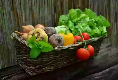 protien rich recipes