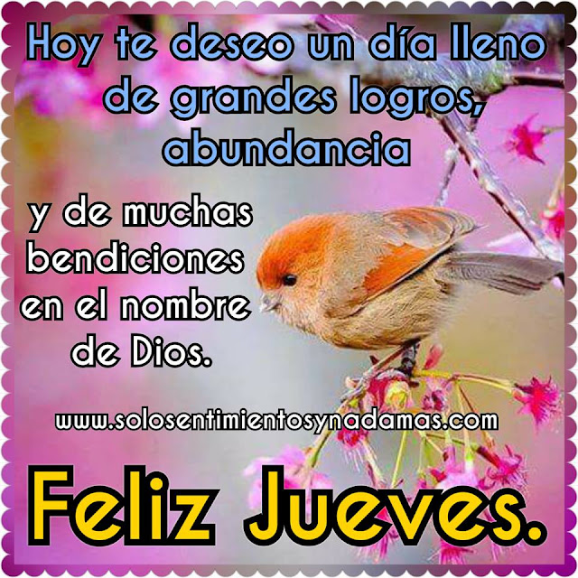 Feliz jueves.