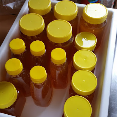 Eight Acres: Getting started with beekeeping: how to extract honey