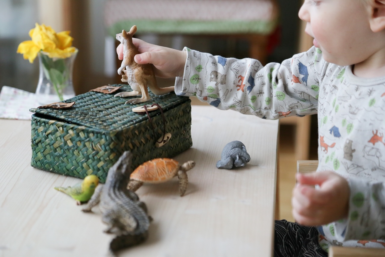 Montessori Kinder Teller, Sortier Idee Filz, Holzspielzeug Baby & Kind