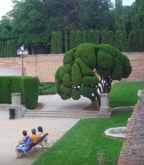 a tree that looks like a cloud and three women on a bench in retiro park madrid