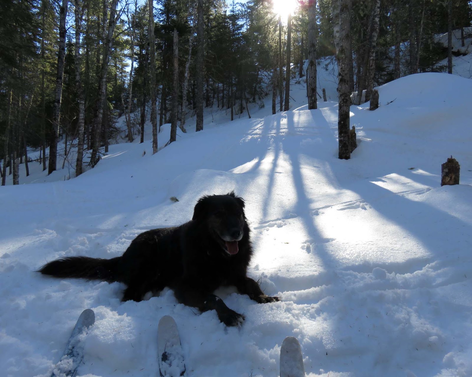The Trail Mutt Reports Copper Harbor Point adventure!