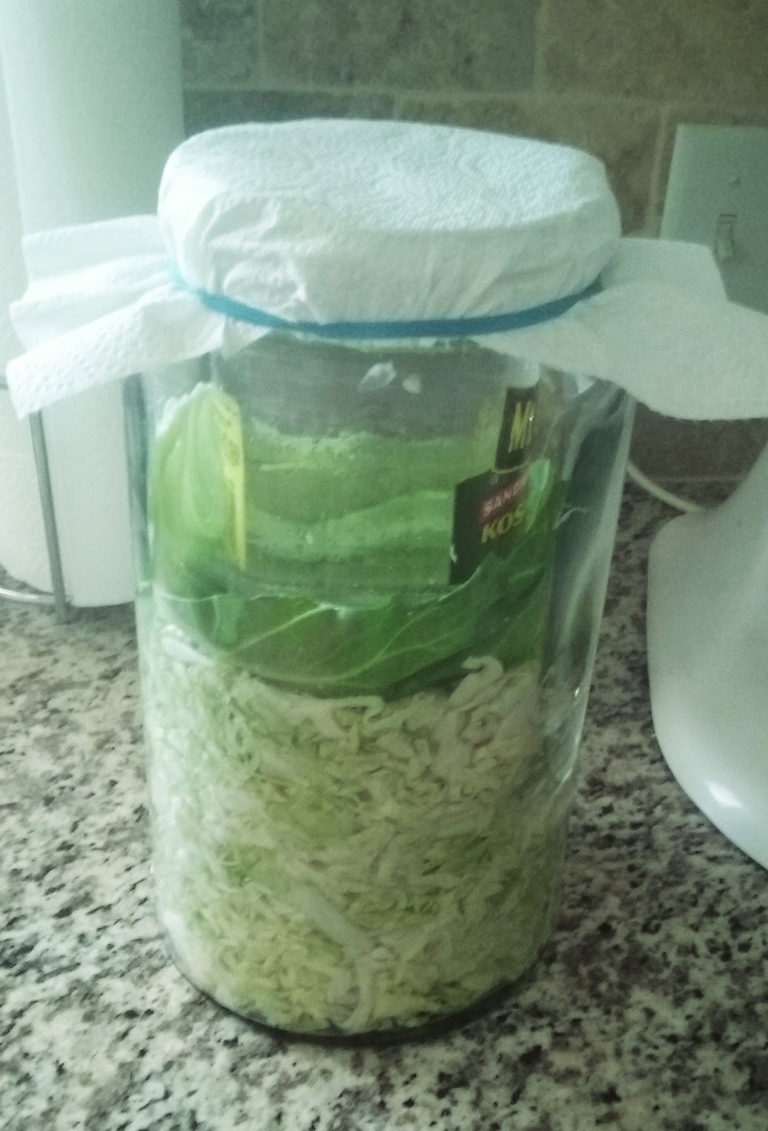 Skip The Bag Homemade Sauerkraut