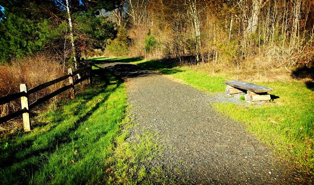 Hiking the McDade Trail - Turn Farm to Bushkill Access