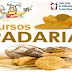 Curso gratuito de padeiro em Guaratinguetá