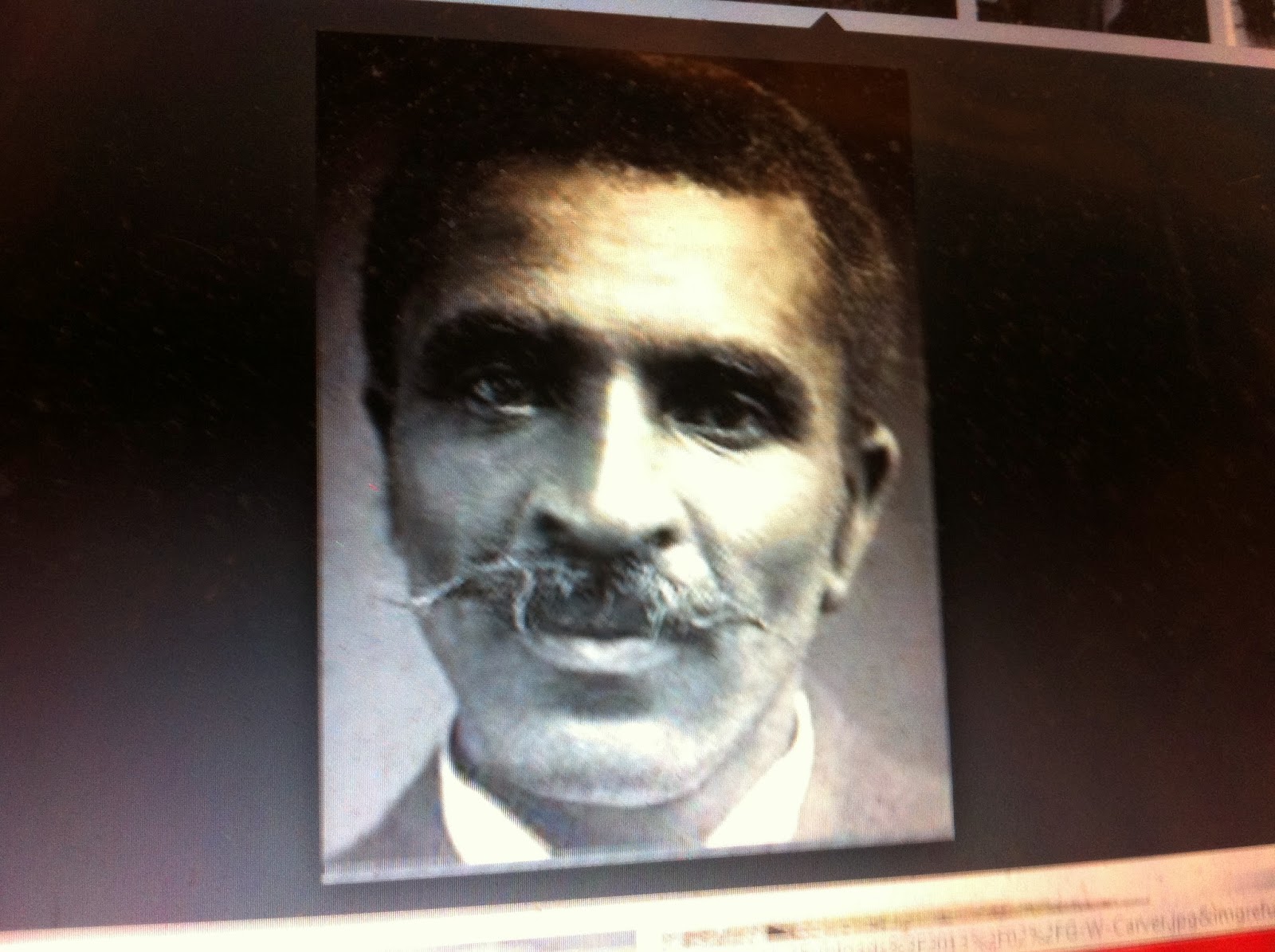 THE BLACK SOCIAL HISTORY BLACK SOCIAL HISTORY AFRICAN AMERICAN