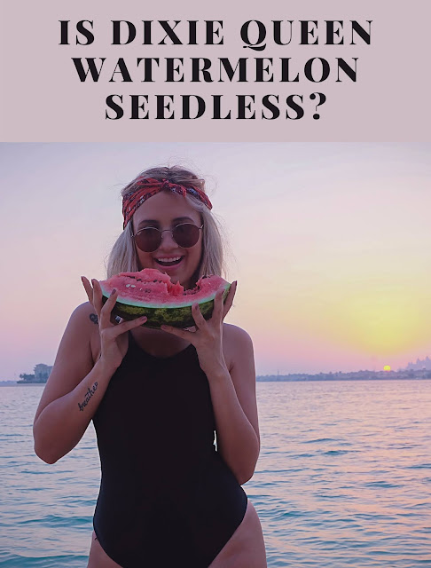 Is Dixie Queen watermelon seedless?
