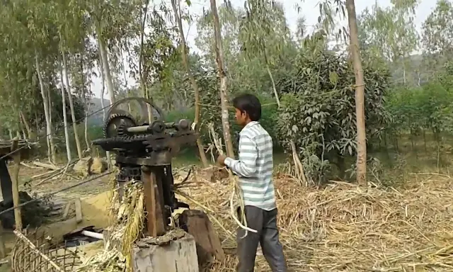 सफल किसान राज किशोर गन्ने से सिरका बना कर कमा रहे लाखो रुपए।