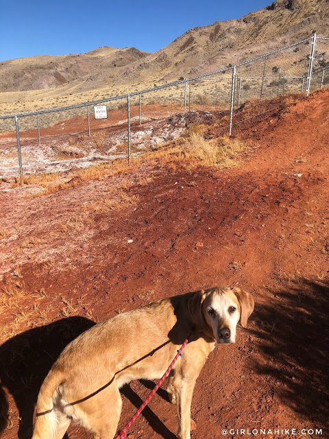 Soaking at Red Hill Hot Springs, Utah