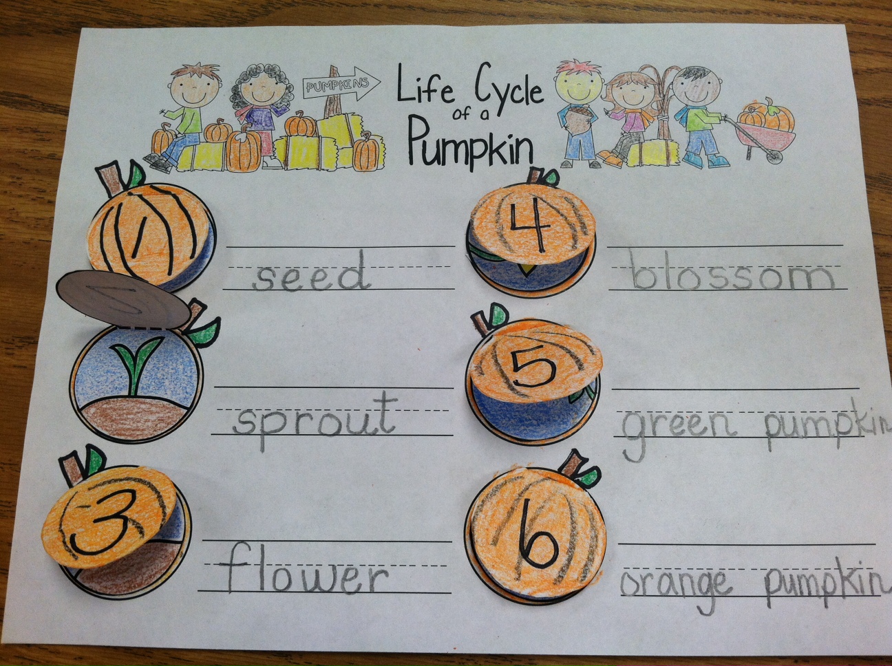 fall-into-first-pumpkin-life-cycle
