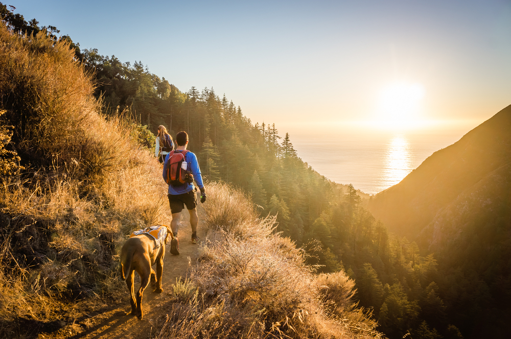 MedFriendly Medical Blog Summer Hiking Safety Guidelines Everyone