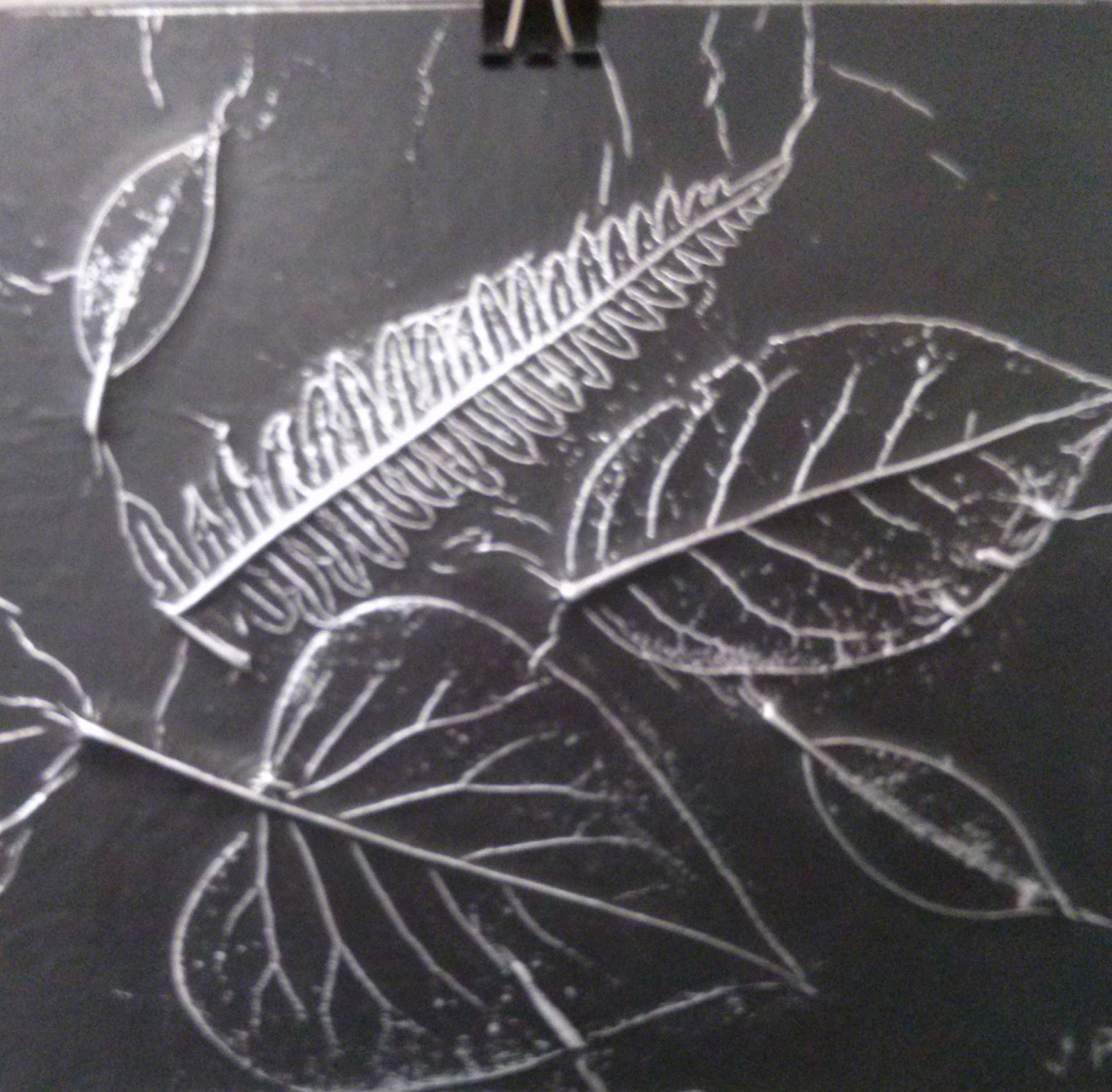 Kids Art Poulsbo Leaf Rubbings using aluminum foil