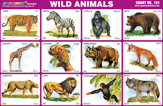 Wild Animals Chart contains 12 images of different wild animals