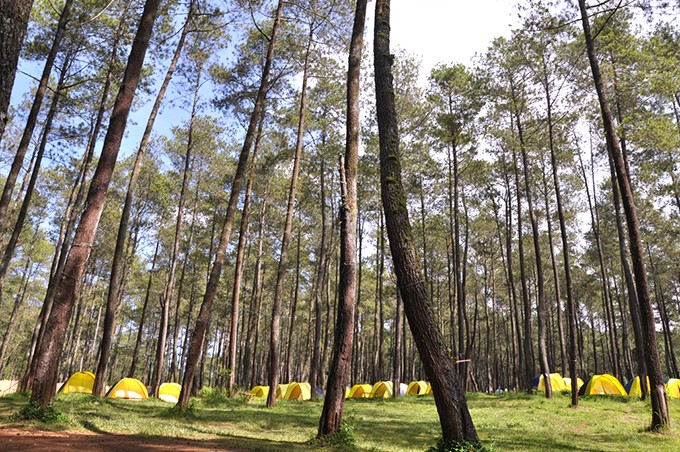 info wisata bandung: Wisata Alam