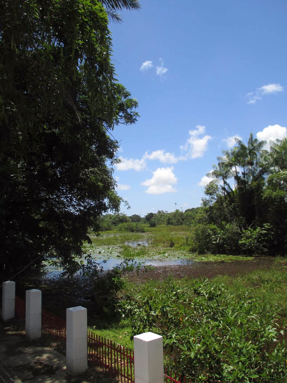 Eric & Autumn's World Roll Up