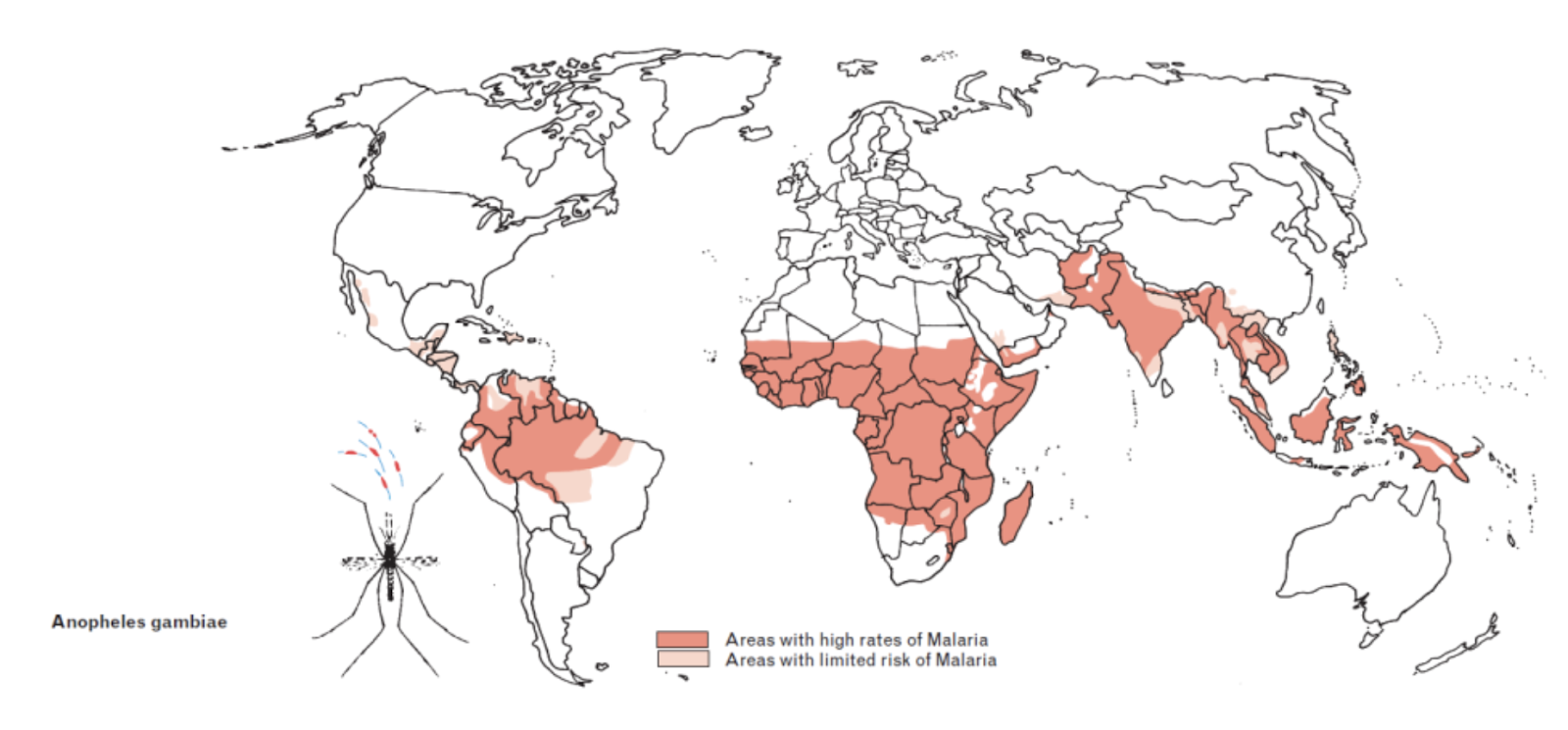 Какая малярия в африке