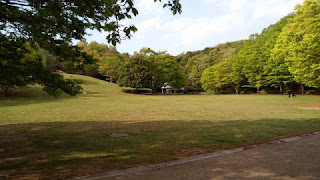 真光寺公園　芝生の丘