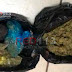 En acción interinstitucional, se aseguró a dos en posesión de 770 gramos de marihuana