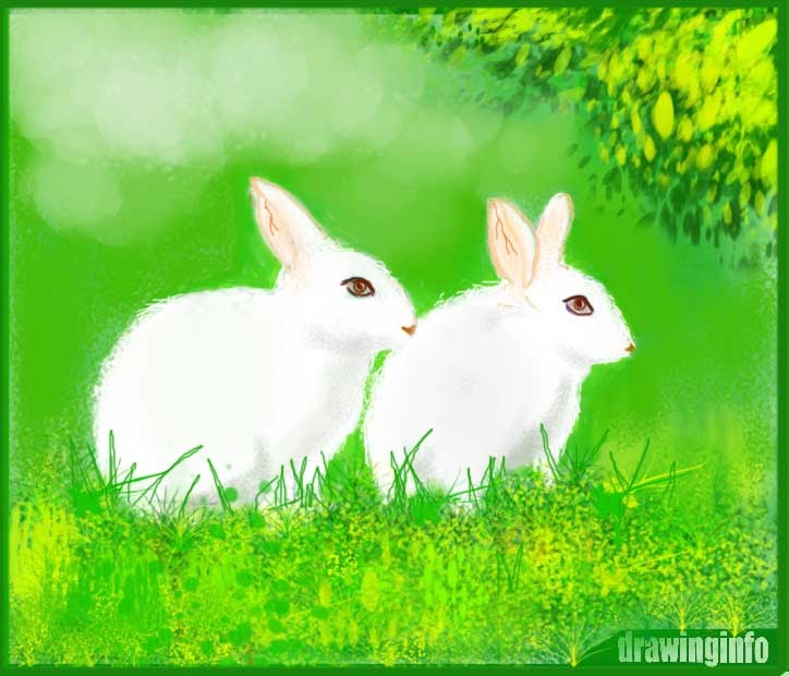 Rabbit Drawing With Colour Easy | How to Draw a Cute Rabbit