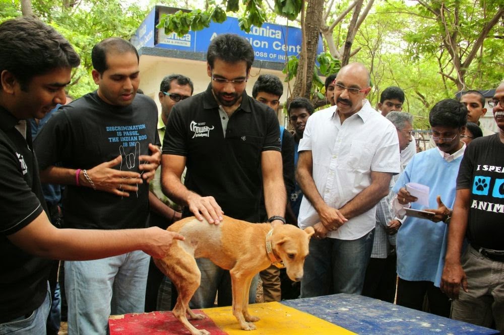 Naaigal Jaakirathai Movie Team Adopts injured Dog Photos!!!